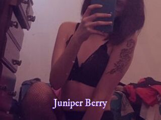 Juniper_Berry