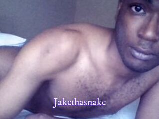 Jake_tha_snake