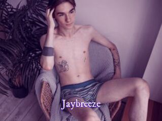 Jaybreeze