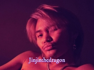 jinjinthedragon Super Webcam