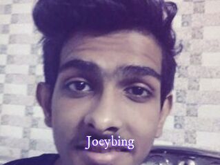 Joeybing