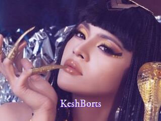 KeshBorts Super Webcam