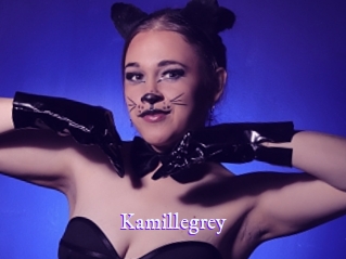 Kamillegrey