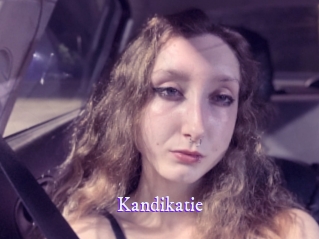 Kandikatie