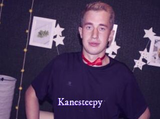 Kanesteepy