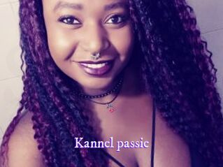 Kannel_passie