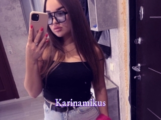 Karinamikus