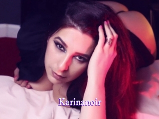 Karinanoir