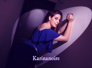 Karinanoire