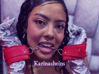 Karinasheins