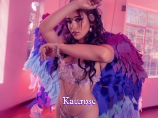 Kattrose