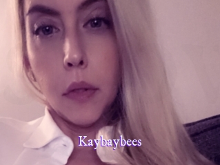 kaybaybees Super Webcam