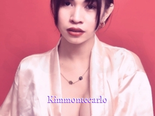 kimmontecarlo Super Webcam