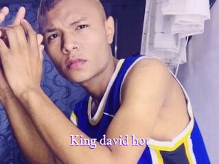 King_david_hot