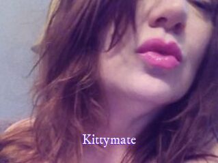 Kittymate