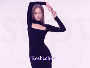 Koshechka_a