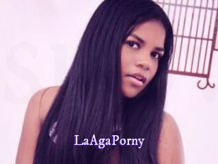 LaAgaPorny Super Webcam