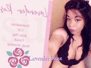 Lavender_Rose