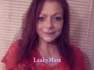 LeakyMara Super Webcam