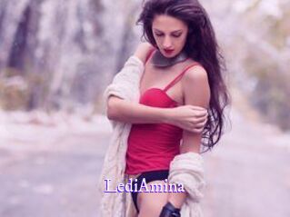 LediAmina