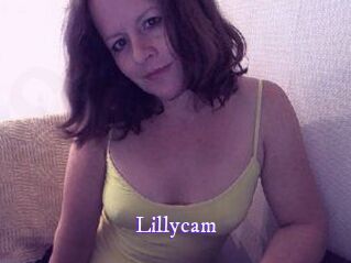 Lillycam Super Webcam