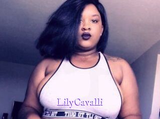Lily_Cavalli