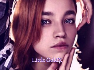 Little_GoldX Super Webcam