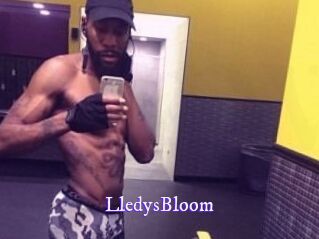 Lledys_Bloom Super Webcam