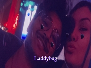 Laddybug