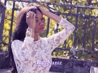 Lapycante