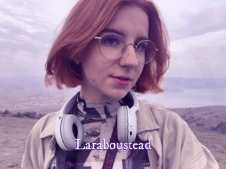 laraboustead Super Webcam