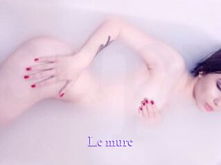 le_mure Super Webcam