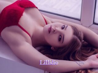 lillidio Super Webcam