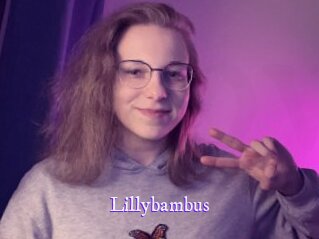 Lillybambus