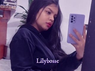 Lilybosse