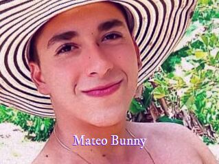 Mateo_Bunny