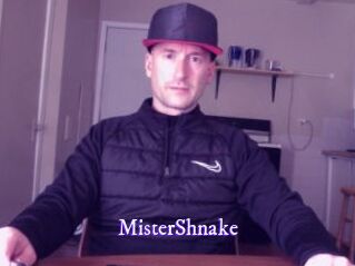 MisterShnake