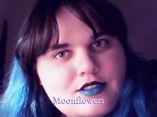 Moonflowers