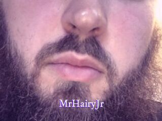 MrHairyJr