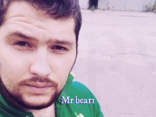 Mr_bear1