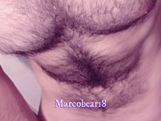 Marcobear18