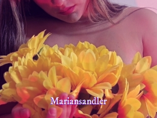 mariansandler Super Webcam