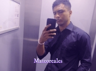 Mateoreales