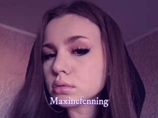 Maxinefenning