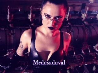 medusaduval Super Webcam
