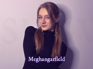 Meghangarfield