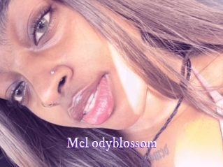 Mel_odyblossom