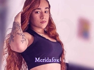 Meridafox