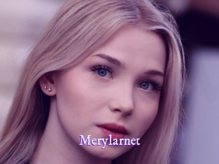 Merylarnet