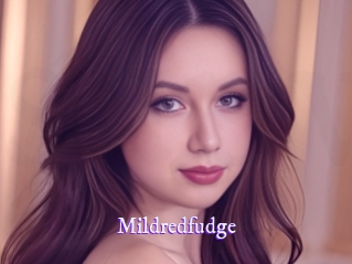 mildredfudge Super Webcam